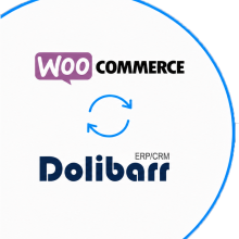 Synchronisation entre WooCommerce et Dolibarr ERP/CRM